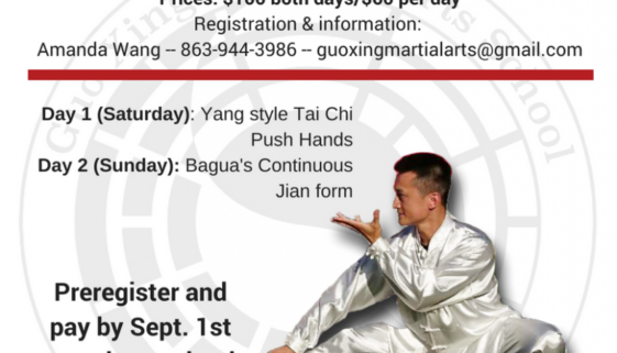 Tai Chi and Bagua Zhang seminars Guo Xing Martial Arts School
